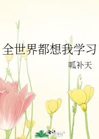 ȫ���綼����ѧϰ