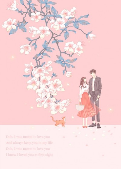 ���̻�������측���������