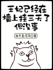 �����Ѿ���ǽ�Ϲ������ˣ���û��