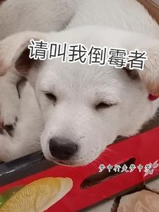 ����ҵ�ù��