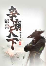 ��Ҫ��������